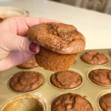 chocolate protein muffin in hand with additional muffins in tin in background