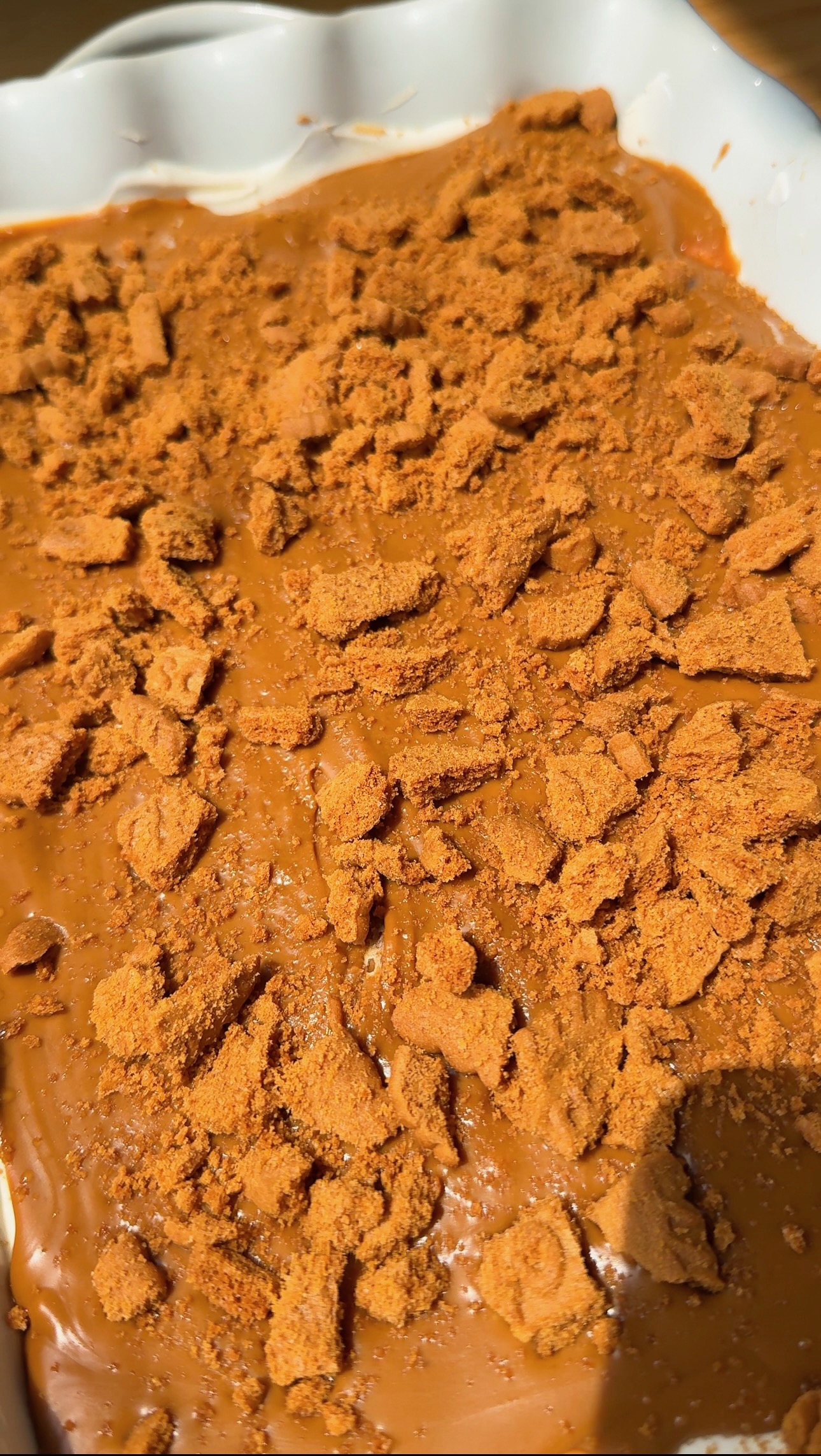 Close-up of a dessert topped with a creamy layer and crushed brown cookie pieces, possibly speculoos or Biscoff cookies, in a white dish.