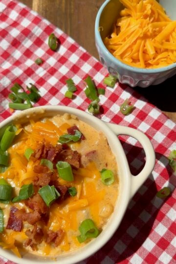 A bowl of creamy soup topped with shredded cheddar, bacon, and green onions sits on a red gingham cloth. A small bowl of shredded cheddar is nearby, with green onion slices scattered around.