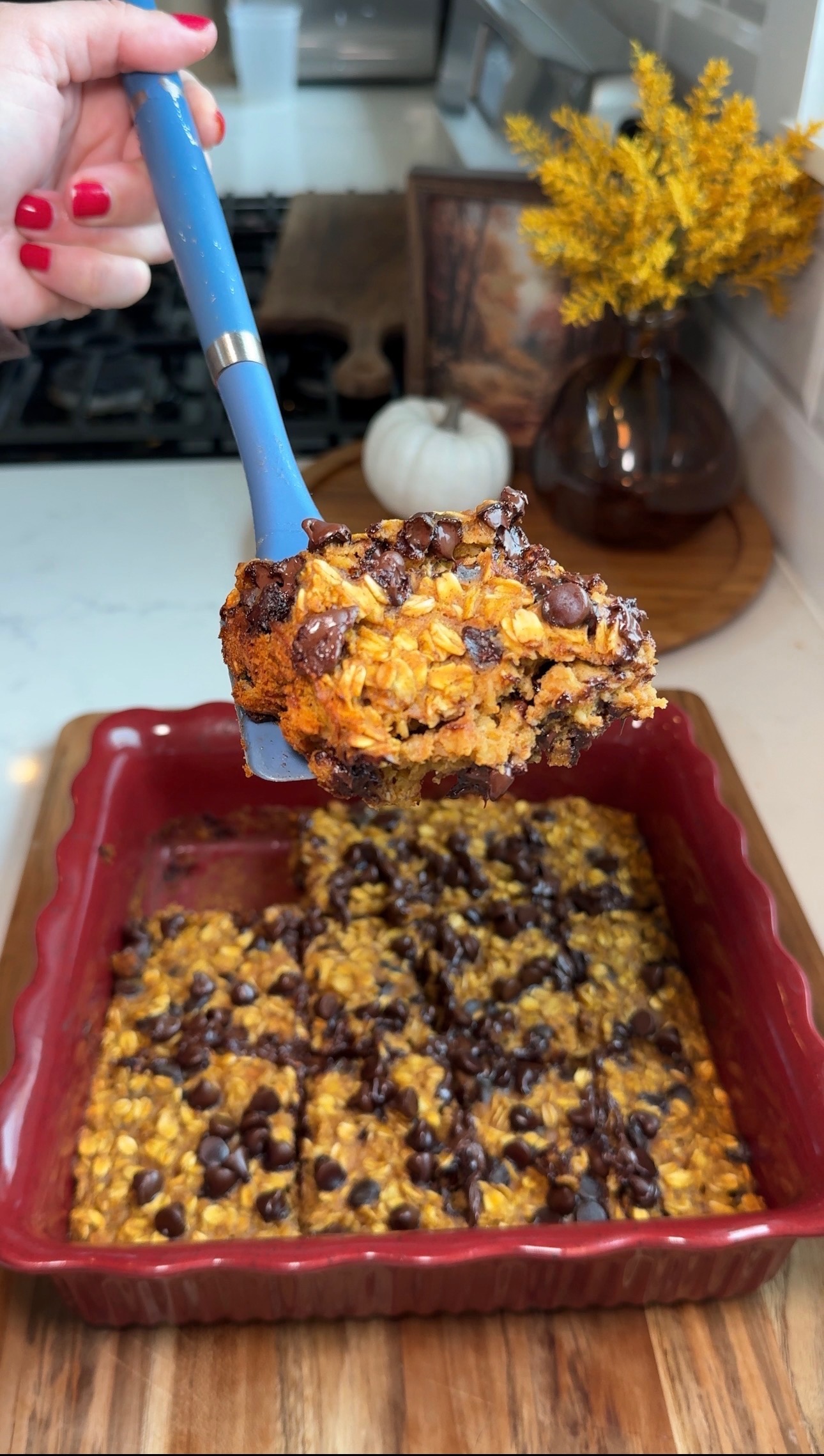 A hand holds a blue spatula lifting a slice of baked oatmeal with chocolate chips from a red baking dish. A pumpkin and yellow flowers decorate the background.