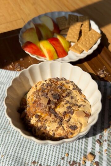 Bowl of dessert topped with chocolate shavings in the foreground. Behind it, a plate with apple slices and graham crackers sits on a wooden surface, sunlight streaming in.