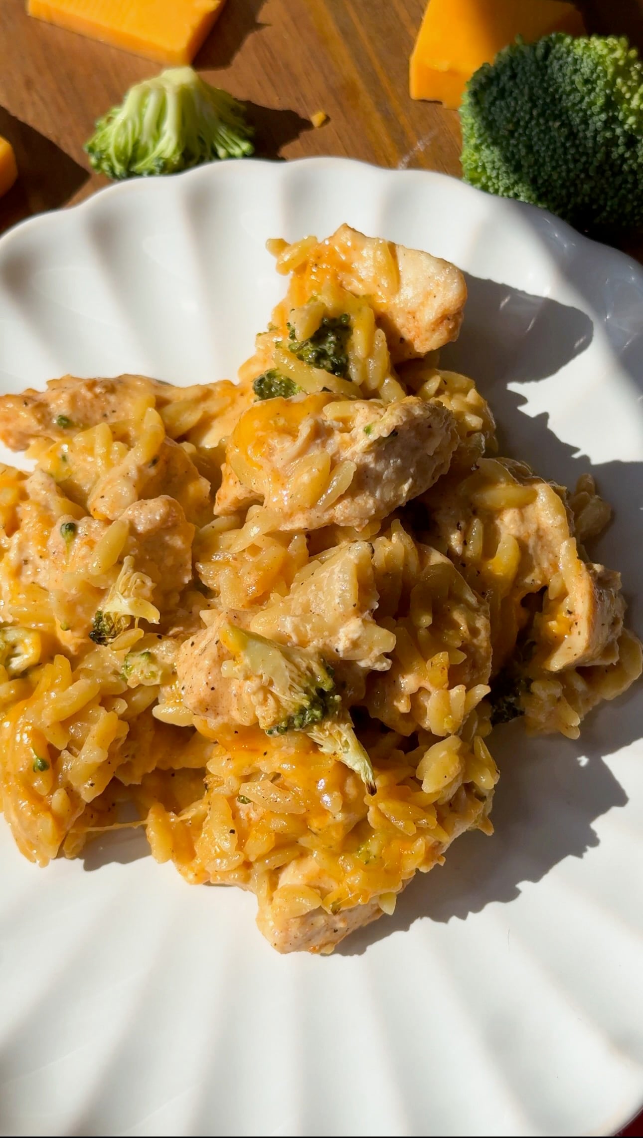 A cheesy pasta dinner on a white plate with broccoli and cheddar in the background.