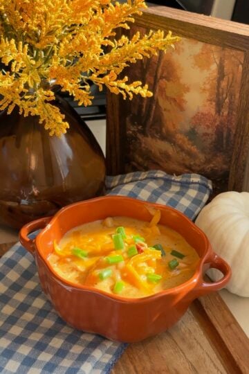 A bowl of crack chicken and dumpling soup topped with shredded cheddar and green onion.